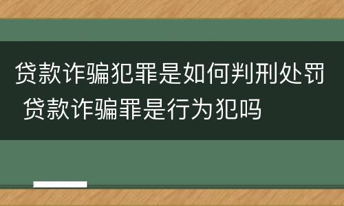 贷款诈骗犯罪是如何判刑处罚 贷款诈骗罪是行为犯吗