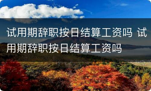 试用期辞职按日结算工资吗 试用期辞职按日结算工资吗