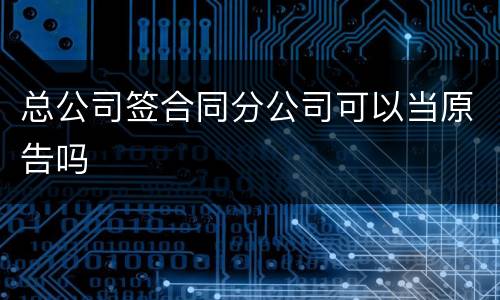 总公司签合同分公司可以当原告吗