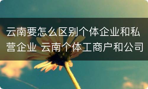 云南要怎么区别个体企业和私营企业 云南个体工商户和公司