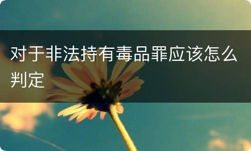 对于非法持有毒品罪应该怎么判定