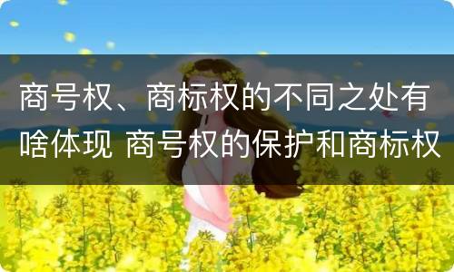 商号权、商标权的不同之处有啥体现 商号权的保护和商标权的保护一样是全国性范围的