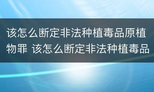 该怎么断定非法种植毒品原植物罪 该怎么断定非法种植毒品原植物罪行