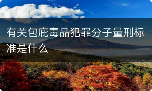 有关包庇毒品犯罪分子量刑标准是什么