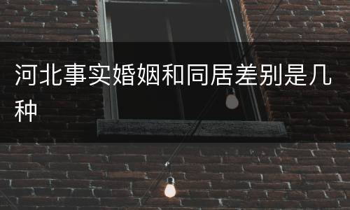 河北事实婚姻和同居差别是几种