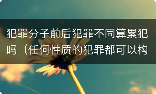 犯罪分子前后犯罪不同算累犯吗（任何性质的犯罪都可以构成累犯）