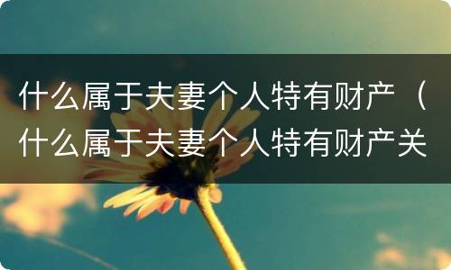 什么属于夫妻个人特有财产（什么属于夫妻个人特有财产关系）