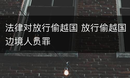 法律对放行偷越国 放行偷越国边境人员罪