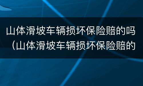 山体滑坡车辆损坏保险赔的吗（山体滑坡车辆损坏保险赔的吗多少钱）