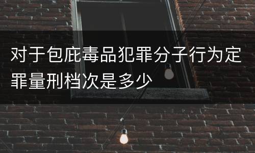 对于包庇毒品犯罪分子行为定罪量刑档次是多少