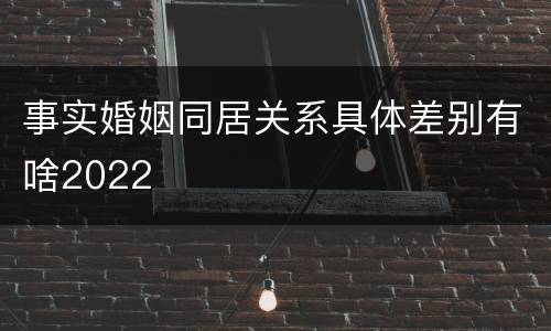 事实婚姻同居关系具体差别有啥2022