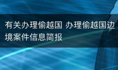 有关办理偷越国 办理偷越国边境案件信息简报