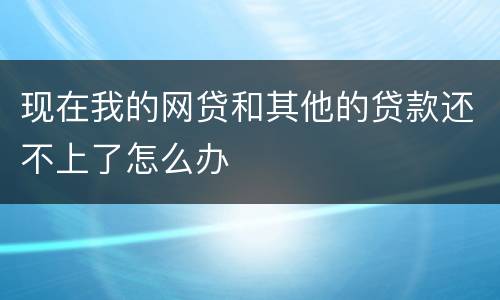 现在我的网贷和其他的贷款还不上了怎么办