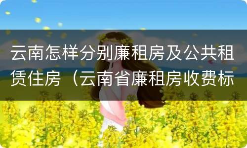 云南怎样分别廉租房及公共租赁住房（云南省廉租房收费标准）