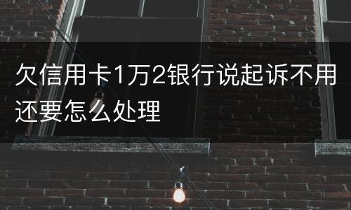 欠信用卡1万2银行说起诉不用还要怎么处理