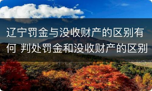 辽宁罚金与没收财产的区别有何 判处罚金和没收财产的区别