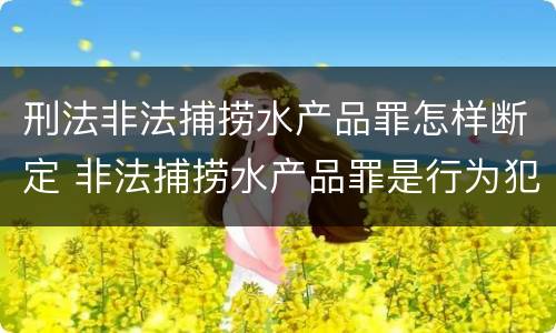 刑法非法捕捞水产品罪怎样断定 非法捕捞水产品罪是行为犯吗