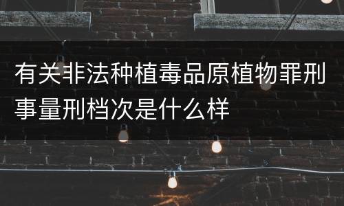有关非法种植毒品原植物罪刑事量刑档次是什么样