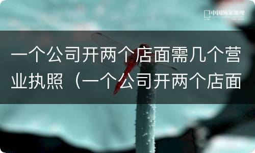 一个公司开两个店面需几个营业执照（一个公司开两个店面需几个营业执照）