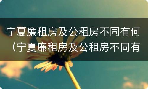 宁夏廉租房及公租房不同有何（宁夏廉租房及公租房不同有何影响）