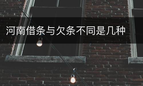 河南借条与欠条不同是几种