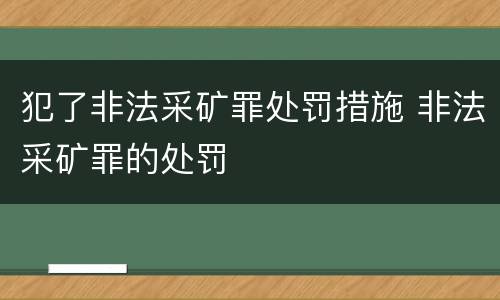 犯了非法采矿罪处罚措施 非法采矿罪的处罚