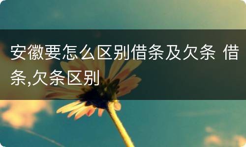 安徽要怎么区别借条及欠条 借条,欠条区别