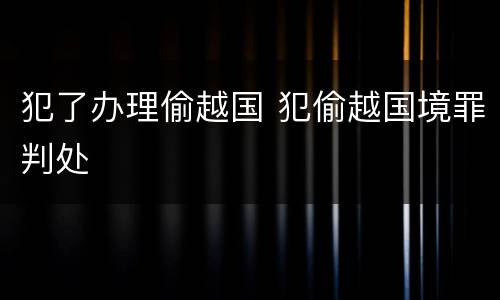 犯了办理偷越国 犯偷越国境罪判处