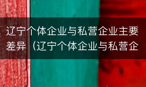 辽宁个体企业与私营企业主要差异（辽宁个体企业与私营企业主要差异在哪）