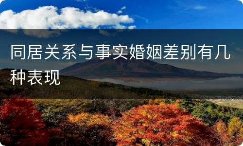 同居关系与事实婚姻差别有几种表现