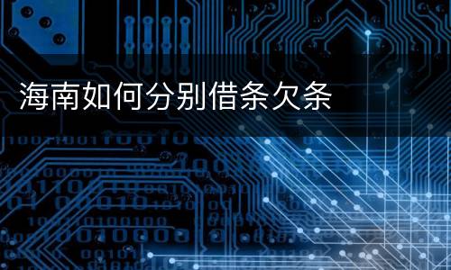 海南如何分别借条欠条