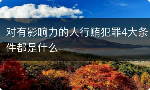 对有影响力的人行贿犯罪4大条件都是什么