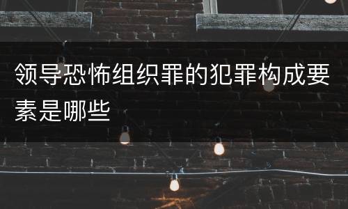 领导恐怖组织罪的犯罪构成要素是哪些