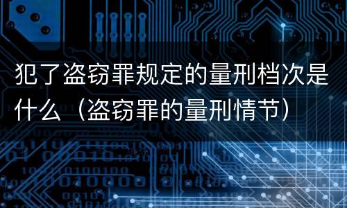 犯了盗窃罪规定的量刑档次是什么（盗窃罪的量刑情节）