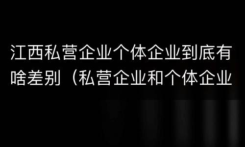 江西私营企业个体企业到底有啥差别（私营企业和个体企业）