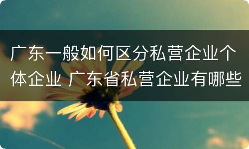 广东一般如何区分私营企业个体企业 广东省私营企业有哪些