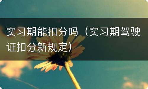 实习期能扣分吗（实习期驾驶证扣分新规定）