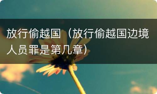 放行偷越国（放行偷越国边境人员罪是第几章）