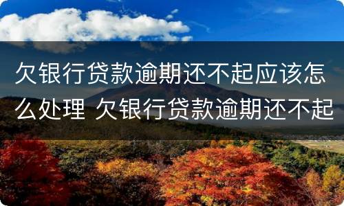 欠银行贷款逾期还不起应该怎么处理 欠银行贷款逾期还不起应该怎么处理呢