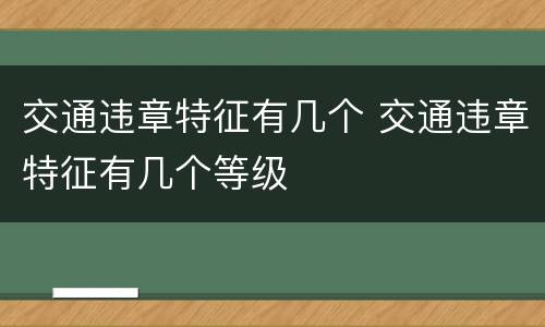交通违章特征有几个 交通违章特征有几个等级