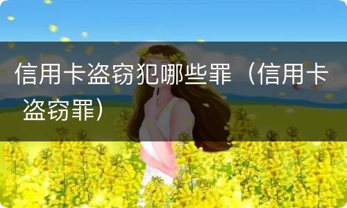 信用卡盗窃犯哪些罪（信用卡 盗窃罪）