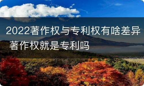 2022著作权与专利权有啥差异 著作权就是专利吗