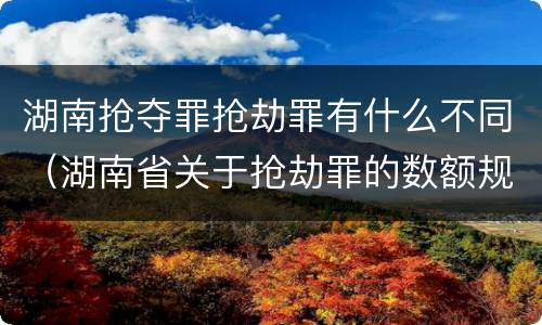 湖南抢夺罪抢劫罪有什么不同（湖南省关于抢劫罪的数额规定）