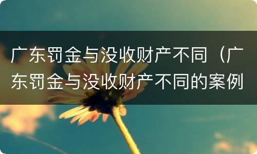 广东罚金与没收财产不同（广东罚金与没收财产不同的案例）