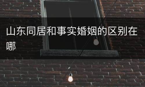 山东同居和事实婚姻的区别在哪