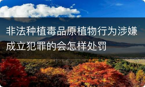 非法种植毒品原植物行为涉嫌成立犯罪的会怎样处罚