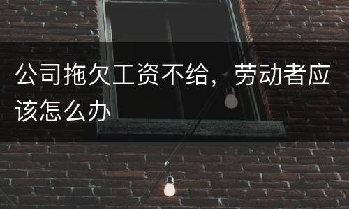 公司拖欠工资不给，劳动者应该怎么办
