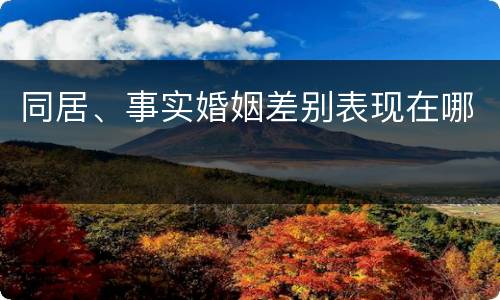 同居、事实婚姻差别表现在哪