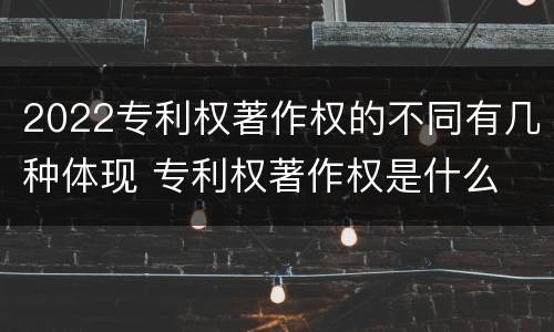 2022专利权著作权的不同有几种体现 专利权著作权是什么