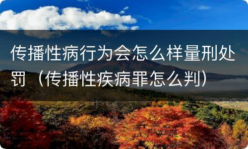 传播性病行为会怎么样量刑处罚（传播性疾病罪怎么判）
